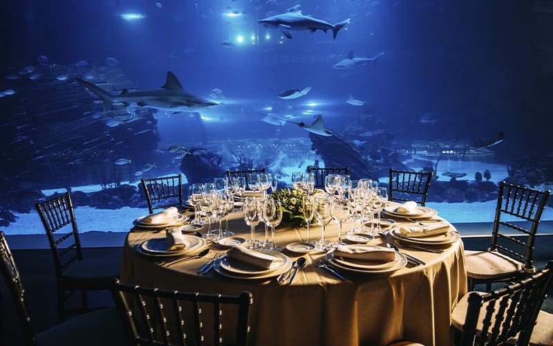 Ambiente inmersivo en Atlantis Aquarium Madrid con espacios únicos para eventos corporativos