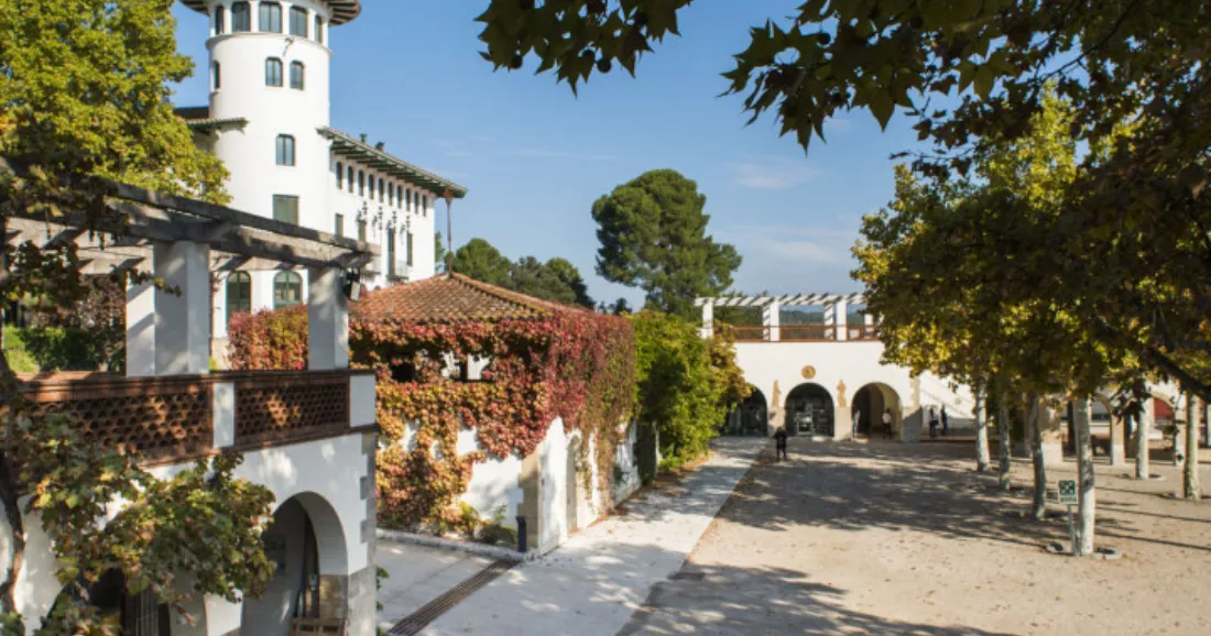 CAVAS CODORNIU-MICE CATERING (1)