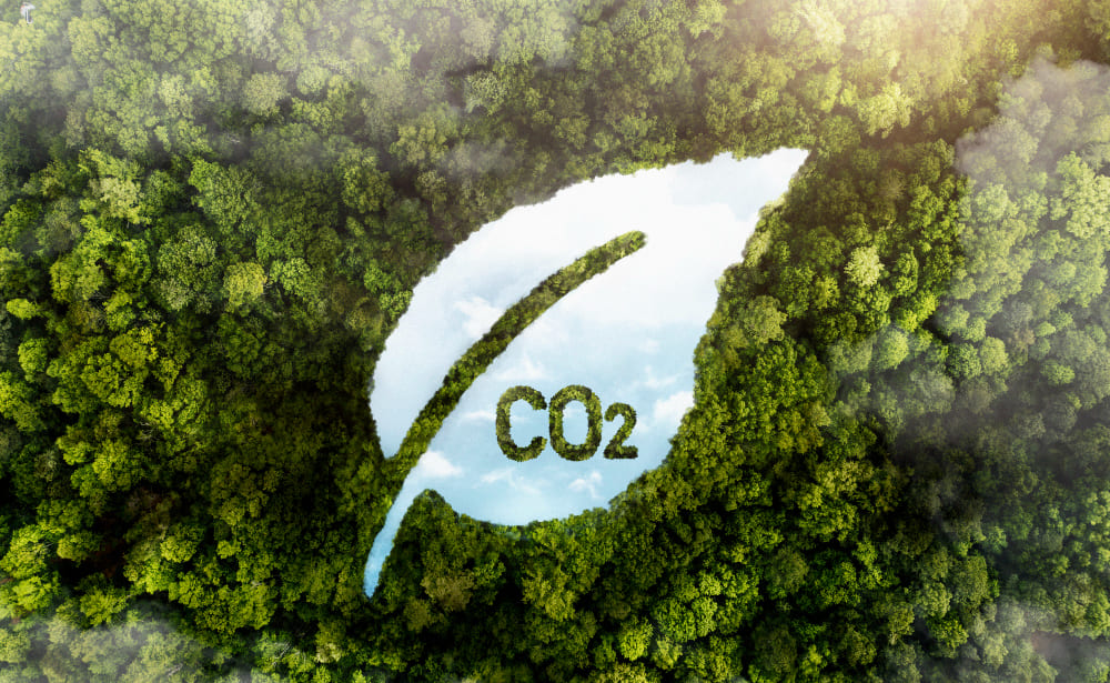 Huella de carbono empresas