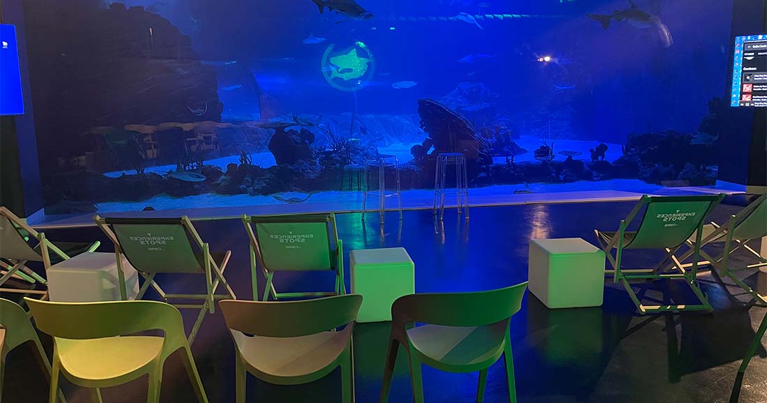 Atlantis Aquarium (4)