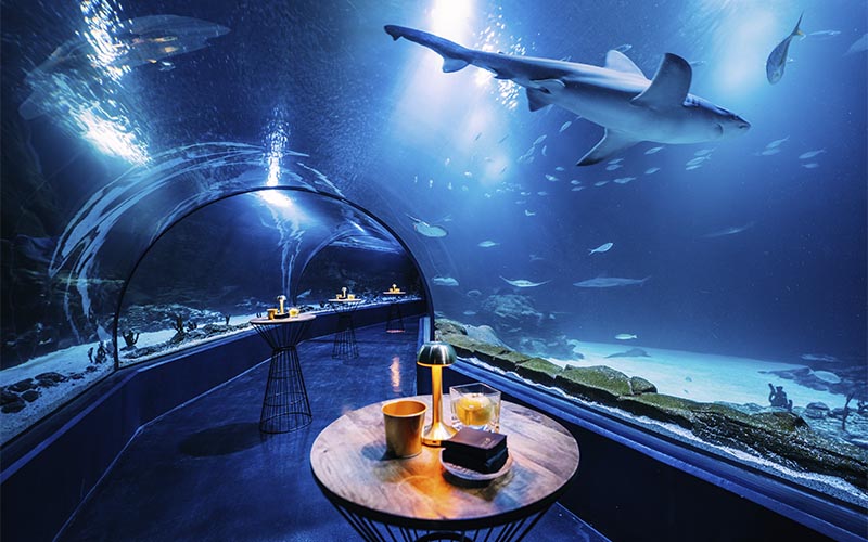 Túnel de tiburones en Atlantis Aquarium Madrid para eventos corporativos exclusivos