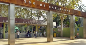 Eventos al aire libre en el Zoo de Barcelona