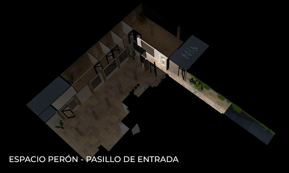 PERON2_11zon