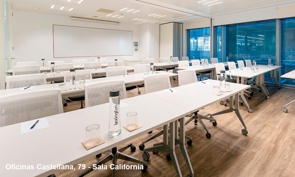 Oficinas-Castellana-79---Sala-California1