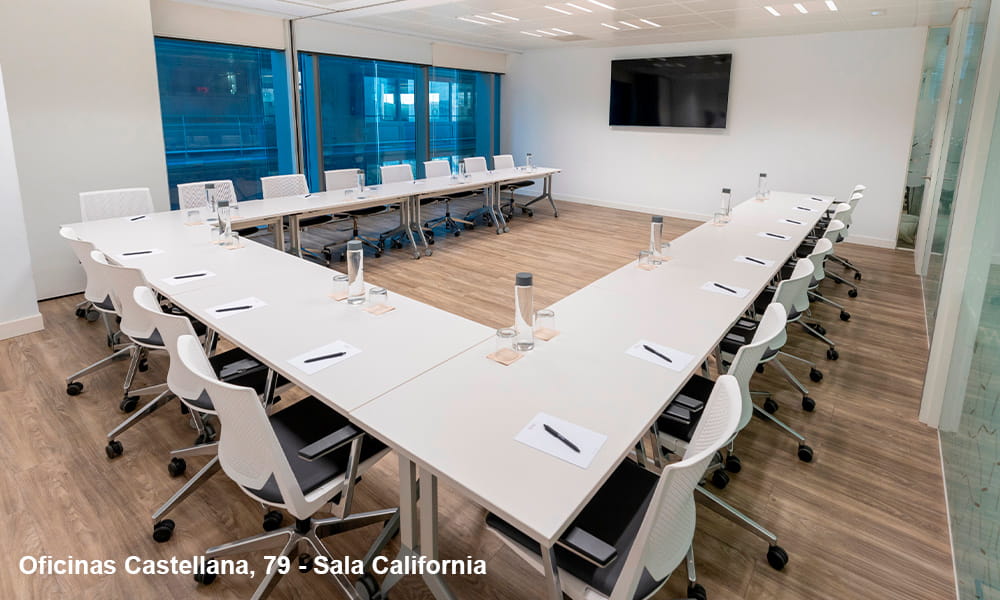 Oficinas-Castellana-79---Sala-California2